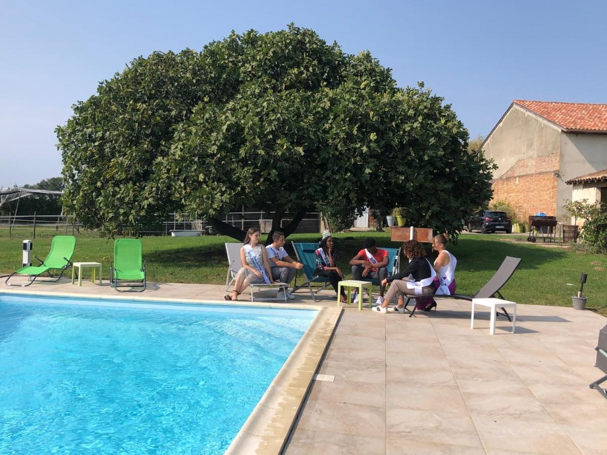 Domaine De L'Ile - Gites Et Chambres D'Hotes Castelsarrasin Exteriör bild